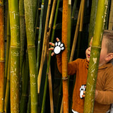 Panda Paws whimSi clip — soft, silicone baby clip for strollers, blankets, and toys. Cute panda design, safe, metal-free, and pinch-free.